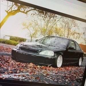 Meet your Posher, Wyatt